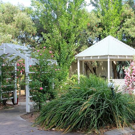 Busselton Ithaca Motel Ngoại thất bức ảnh